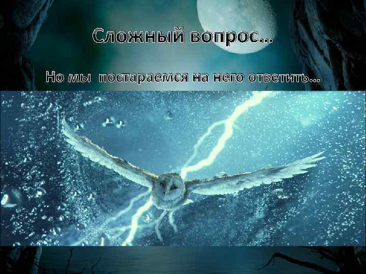 Сложный вопрос… Но мы постараемся на него ответить… 