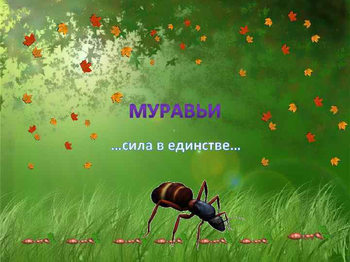 …сила в единстве… 