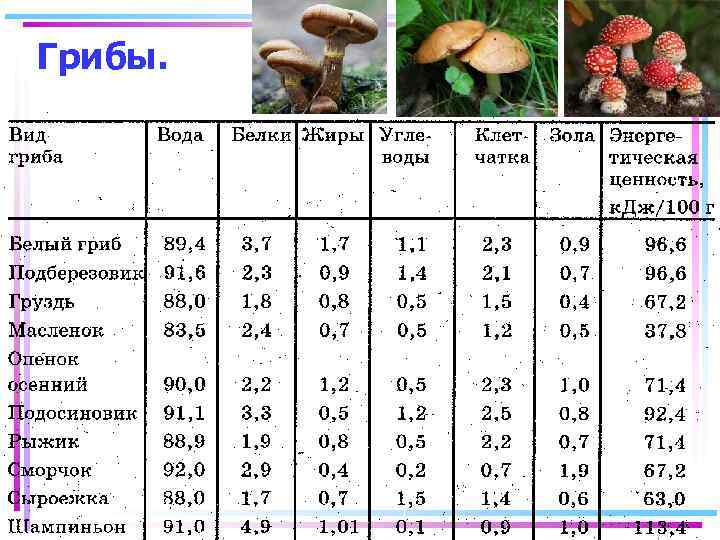 Грибы. 