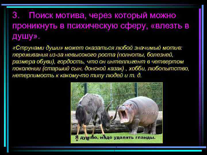 3. Поиск мотива, через который можно проникнуть в психическую сферу, «влезть в душу» .