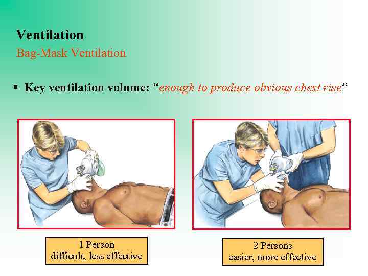 Ventilation Bag-Mask Ventilation § Key ventilation volume: “enough to produce obvious chest rise” 1