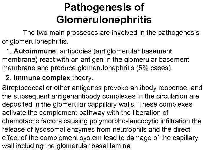 Pathogenesis of Glomerulonephritis The two main prosseses are involved in the pathogenesis of glomerulonephritis.