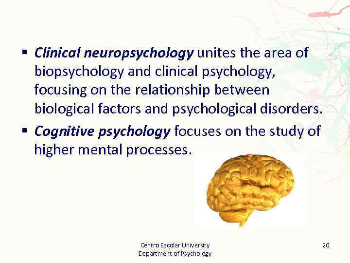 § Clinical neuropsychology unites the area of biopsychology and clinical psychology, focusing on the