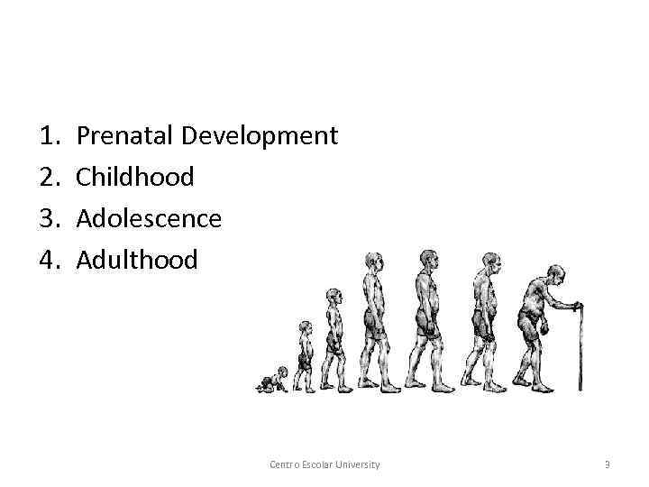 1. 2. 3. 4. Prenatal Development Childhood Adolescence Adulthood Centro Escolar University 3 