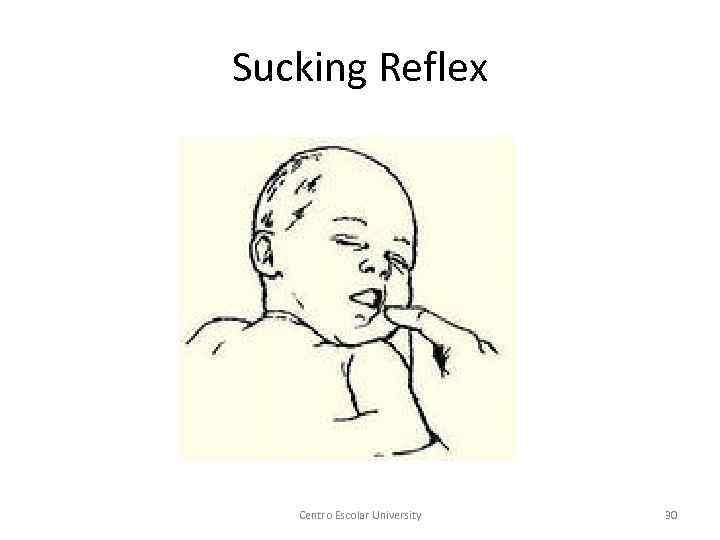 Sucking Reflex Centro Escolar University 30 
