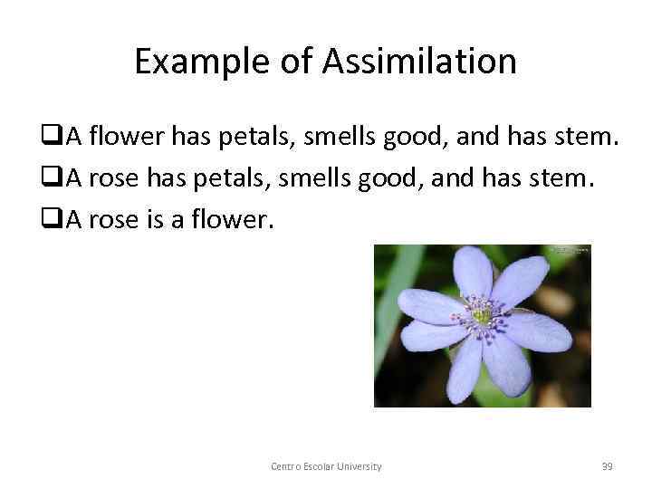 Example of Assimilation q. A flower has petals, smells good, and has stem. q.