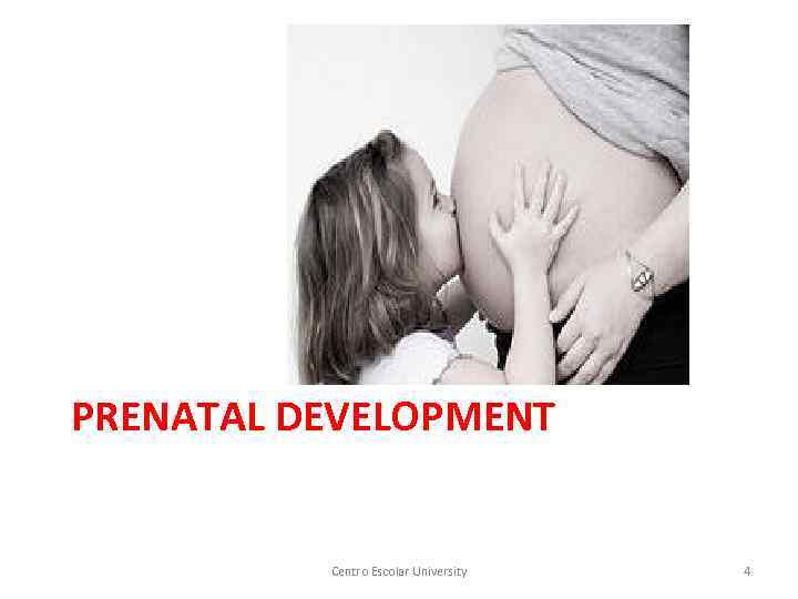 PRENATAL DEVELOPMENT Centro Escolar University 4 