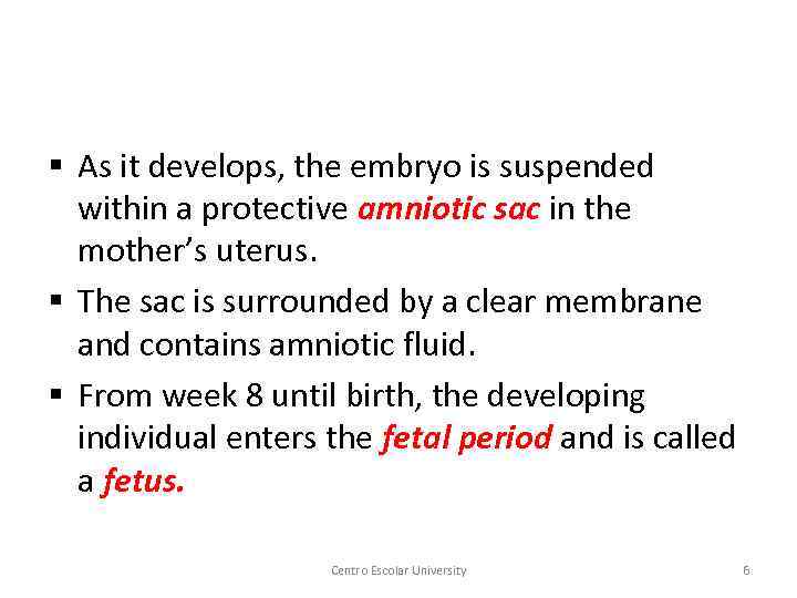 § As it develops, the embryo is suspended within a protective amniotic sac in
