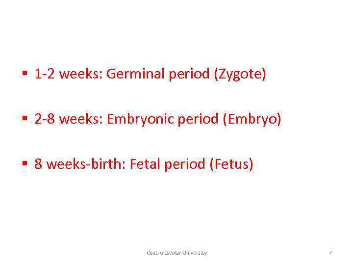 § 1 -2 weeks: Germinal period (Zygote) § 2 -8 weeks: Embryonic period (Embryo)