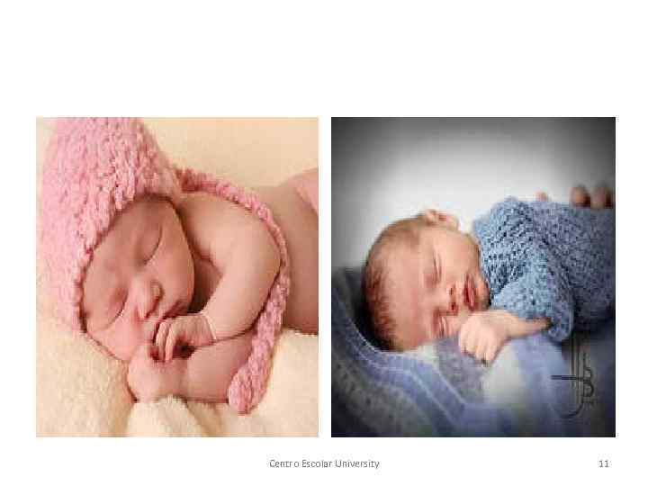 Centro Escolar University 11 