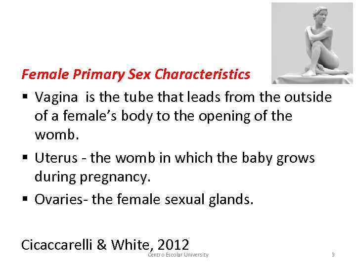 Female Primary Sex Characteristics § Vagina is the tube that leads from the outside