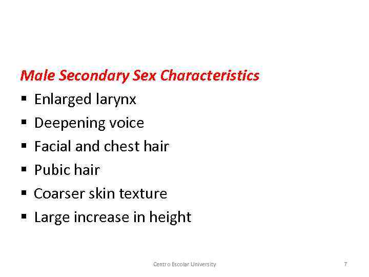 Male Secondary Sex Characteristics § Enlarged larynx § Deepening voice § Facial and chest