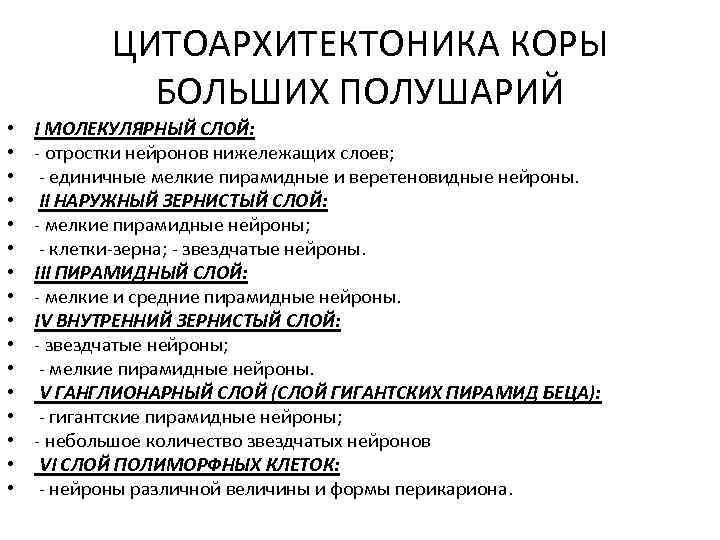 ЦИТОАРХИТЕКТОНИКА КОРЫ БОЛЬШИХ ПОЛУШАРИЙ • • • • I МОЛЕКУЛЯРНЫЙ СЛОЙ: - отростки нейронов