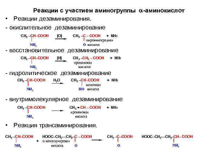 Реакции с участием аминогруппы -аминокислот • Реакции дезаминирования. окислительное дезаминирование СН 3 –СН–СООН [O]