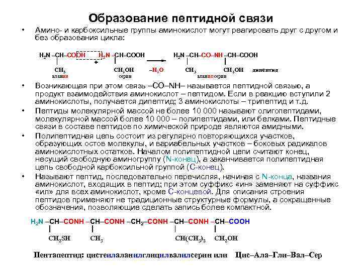 Образование пептидной связи • Амино и карбоксильные группы аминокислот могут реагировать друг с другом