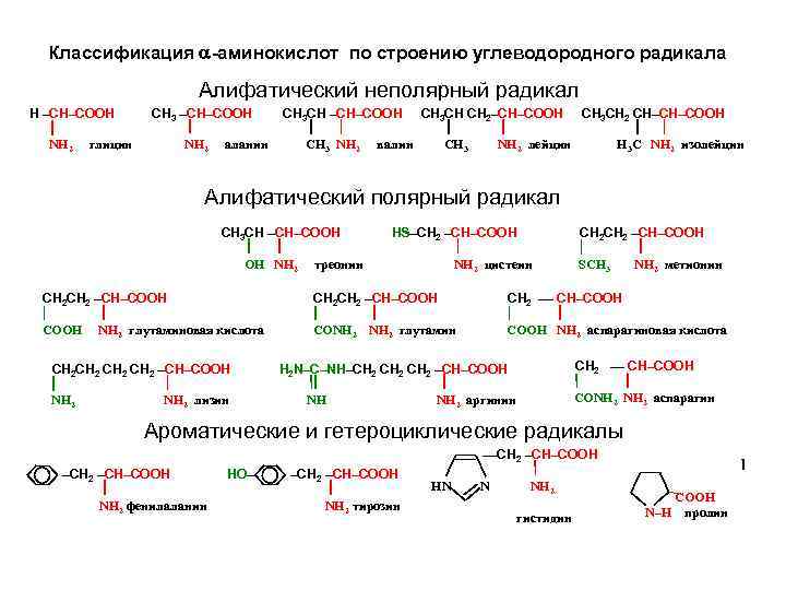 Классификация -аминокислот по строению углеводородного радикала Алифатический неполярный радикал Н –СН–СООН NH 2 СН