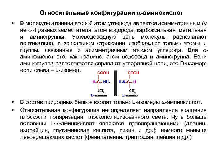 Относительные конфигурации -аминокислот • В молекуле аланина второй атом углерода является асимметричным (у него