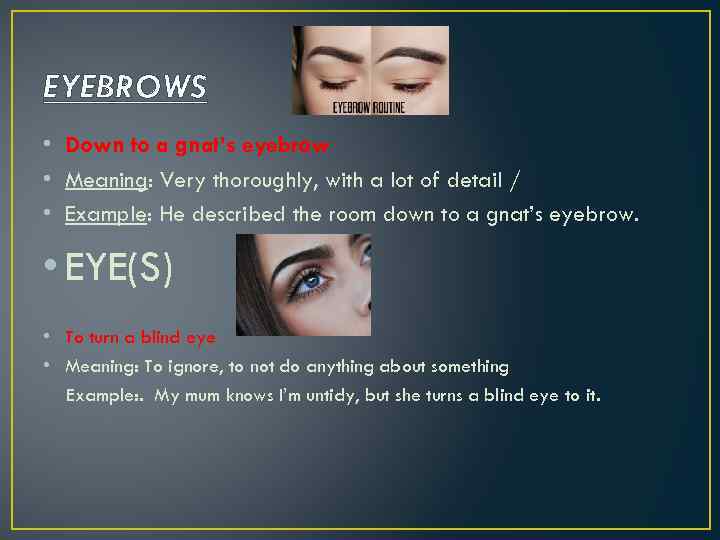 EYEBROWS • Down to a gnat’s eyebrow • Meaning: Very thoroughly, with a lot
