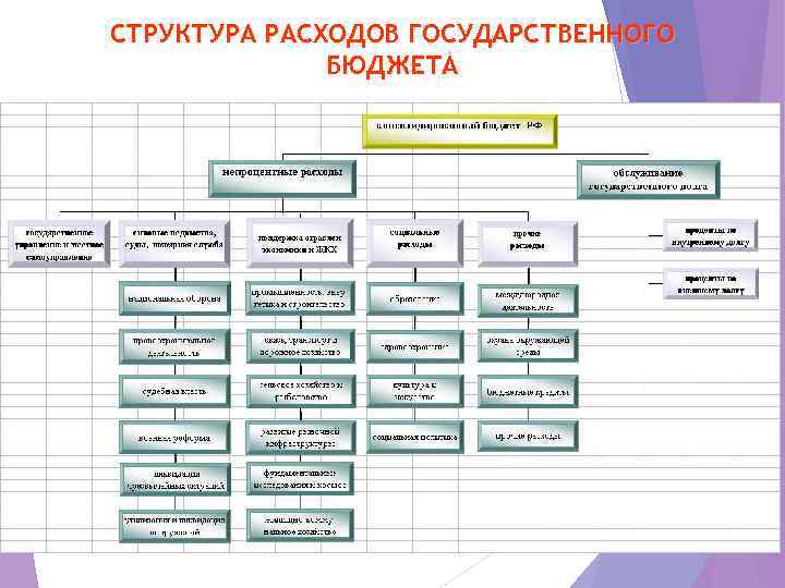 СТРУКТУРА РАСХОДОВ ГОСУДАРСТВЕННОГО БЮДЖЕТА 