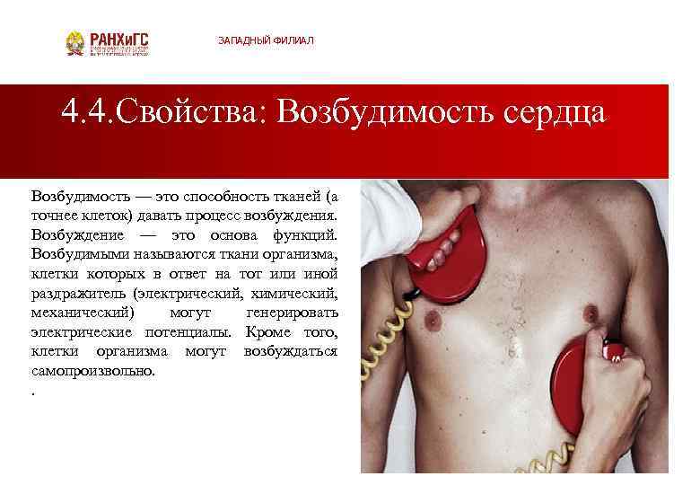 ЗАПАДНЫЙ ФИЛИАЛ 4. 4. Свойства: Возбудимость сердца Возбудимость — это способность тканей (а точнее