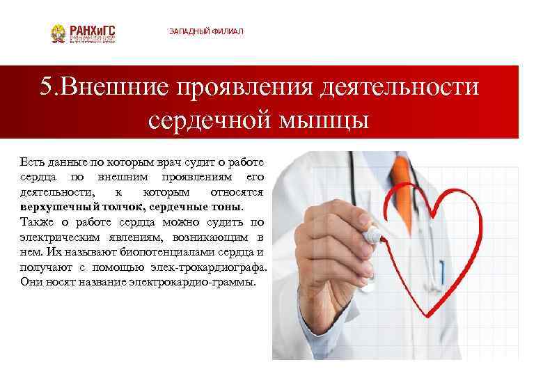 ЗАПАДНЫЙ ФИЛИАЛ 5. Внешние проявления деятельности сердечной мышцы Есть данные по которым врач судит