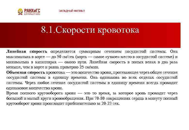 ЗАПАДНЫЙ ФИЛИАЛ 8. 1. Скорости кровотока Линейная скорость определяется суммарным сечением сосудистой системы. Она