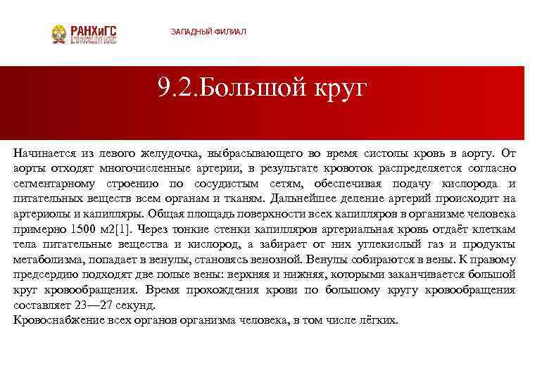 ЗАПАДНЫЙ ФИЛИАЛ 9. 2. Большой круг Начинается из левого желудочка, выбрасывающего во время систолы