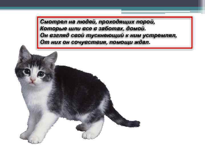 Смотрел на людей, проходящих порой, Которые шли все в заботах, домой. Он взгляд свой