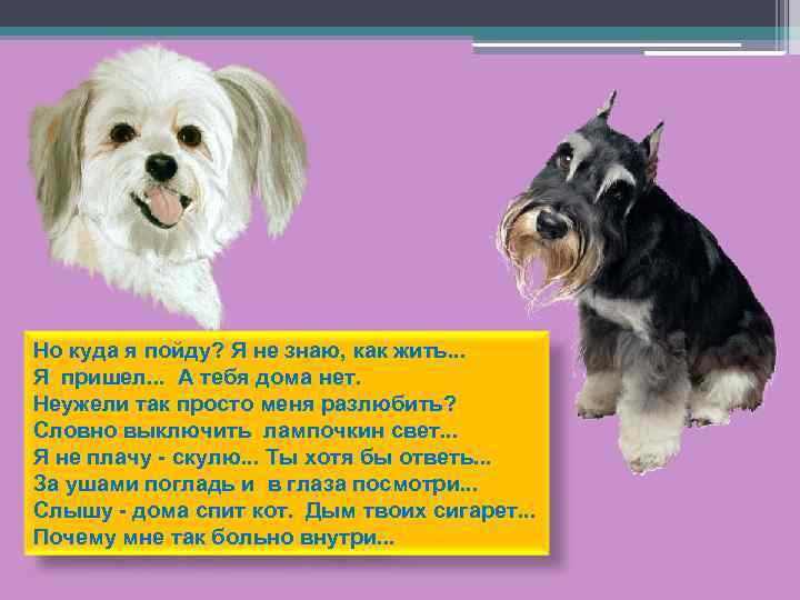 Но куда я пойду? Я не знаю, как жить. . . Я пришел. .