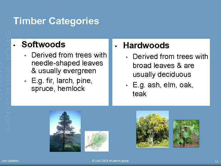Timber Categories • Softwoods • • Last Updated: • Derived from trees with needle-shaped
