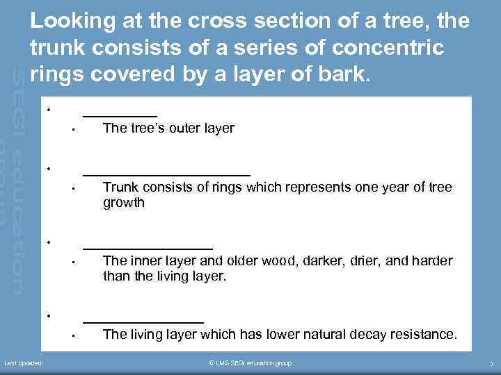 Looking at the cross section of a tree, the trunk consists of a series