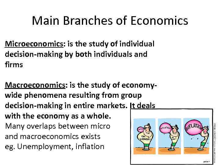 Main Branches of Economics Microeconomics: is the study of individual decision-making by both individuals