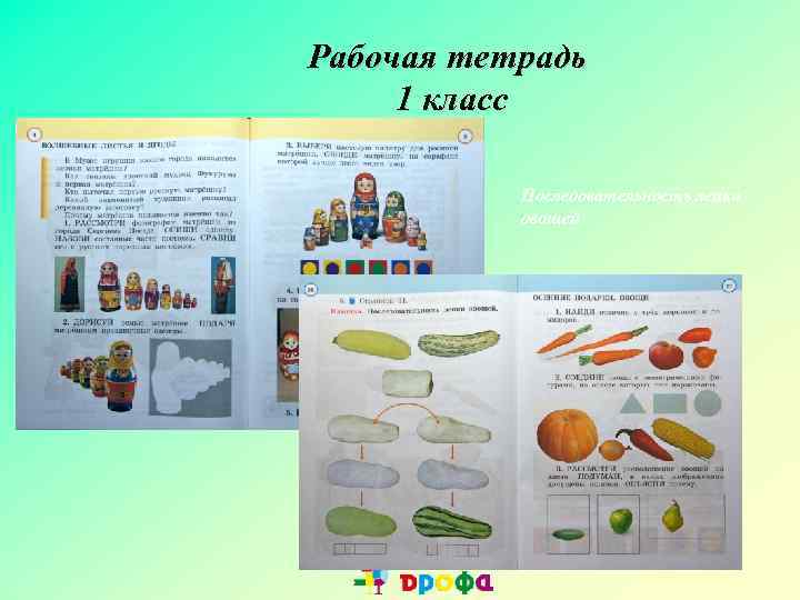 Рабочая тетрадь 1 класс Последовательность лепки овощей 