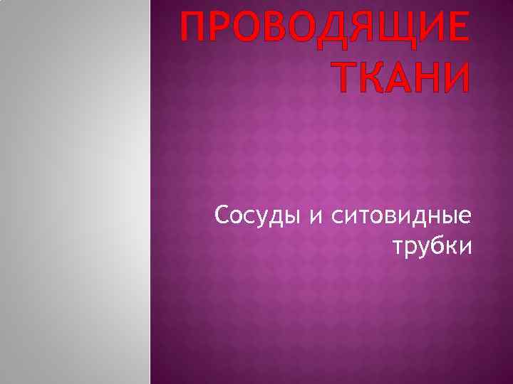 ПРОВОДЯЩИЕ ТКАНИ Сосуды и ситовидные трубки 