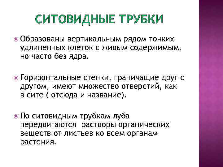 СИТОВИДНЫЕ ТРУБКИ Образованы вертикальным рядом тонких удлиненных клеток с живым содержимым, но часто без