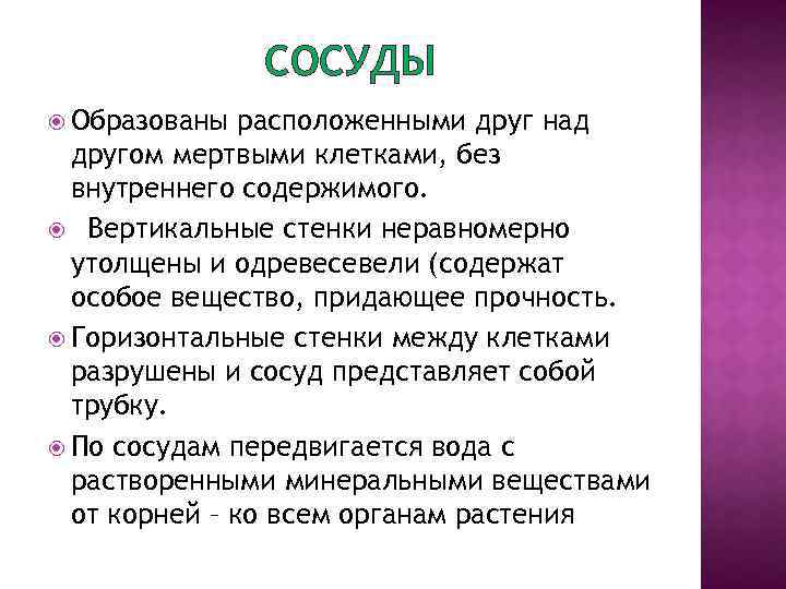 СОСУДЫ Образованы расположенными друг над другом мертвыми клетками, без внутреннего содержимого. Вертикальные стенки неравномерно