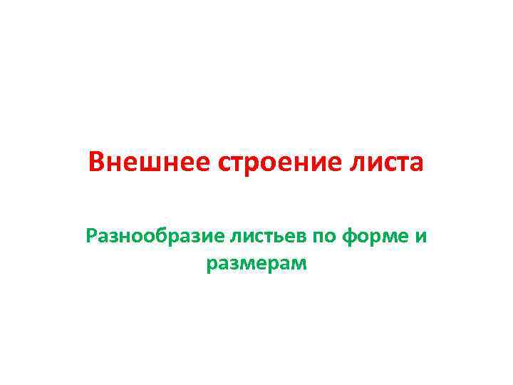 Внешнее строение листа Разнообразие листьев по форме и размерам 