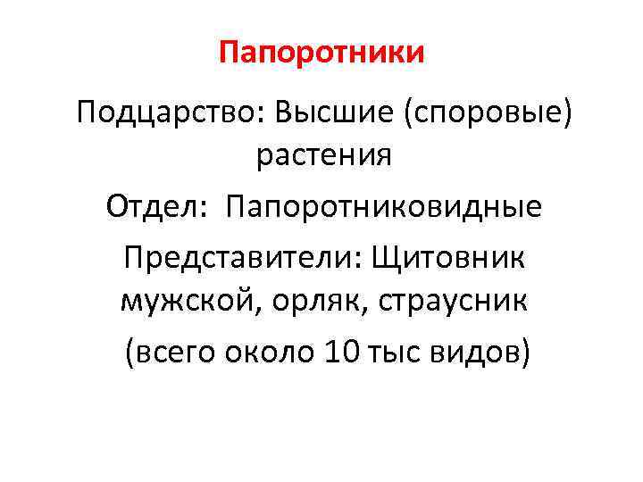 Папоротники Подцарство: Высшие (споровые) растения Отдел: Папоротниковидные Представители: Щитовник мужской, орляк, страусник (всего около