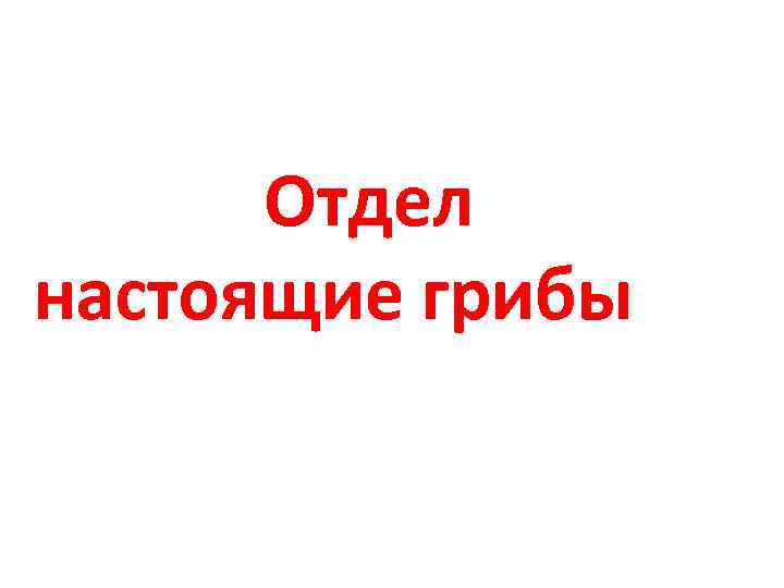 Отдел настоящие грибы 