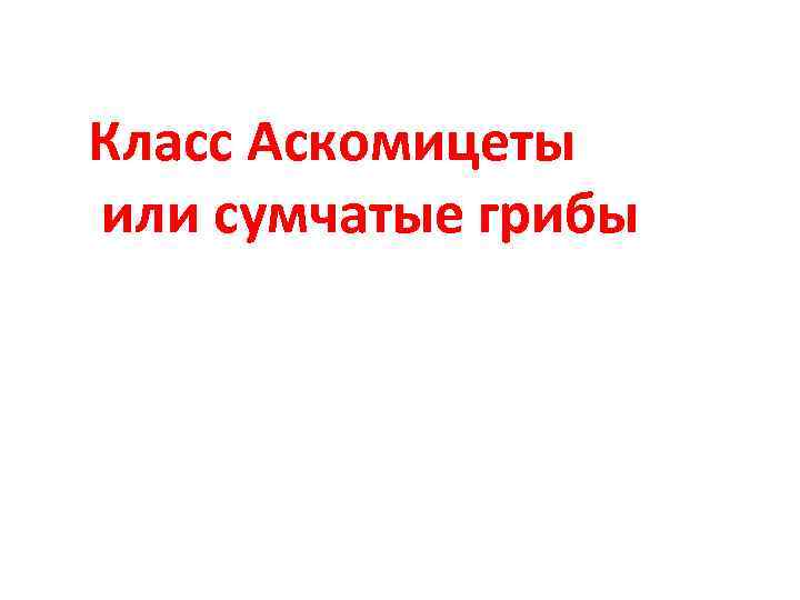 Класс Аскомицеты или сумчатые грибы 