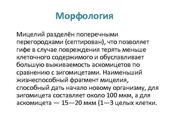 Морфология Мицелий разделён поперечными перегородками (септирован), что позволяет гифе в случае повреждения терять меньше