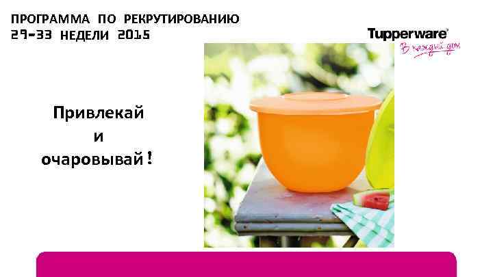 ПРОГРАММА ПО РЕКРУТИРОВАНИЮ 29 -33 НЕДЕЛИ 2015 Привлекай и очаровывай! 