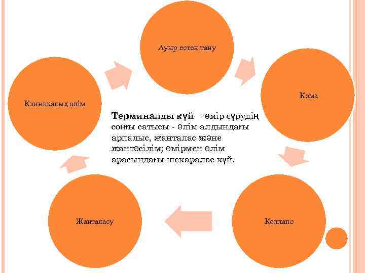 Ауыр естен тану Кома Клиникалық өлім Терминалды күй - өмір сүрудің соңғы сатысы -