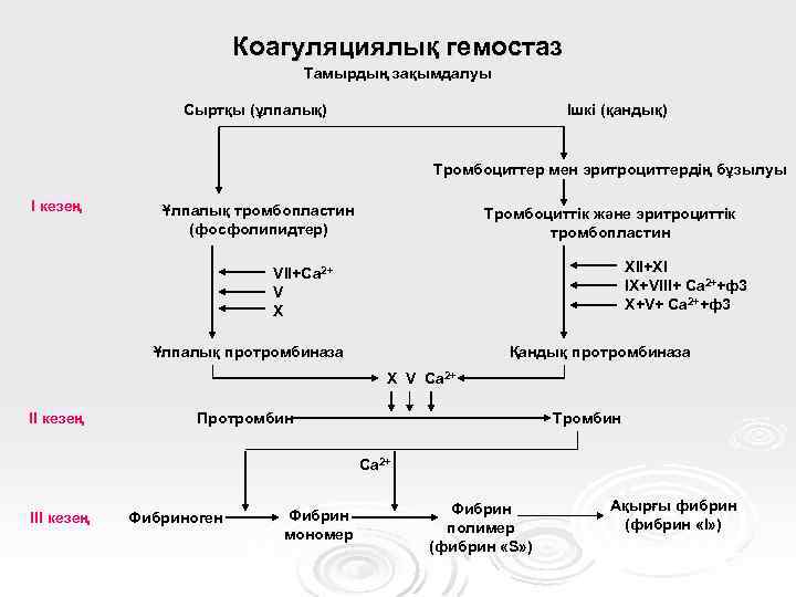 Коагуляциялық гемостаз Тамырдың зақымдалуы Сыртқы (ұлпалық) Ішкі (қандық) Тромбоциттер мен эритроциттердің бұзылуы I кезең