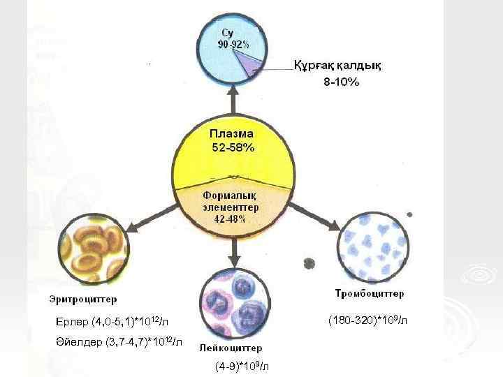 (180 -320)*109/л Ерлер (4, 0 -5, 1)*1012/л Әйелдер (3, 7 -4, 7)*1012/л (4 -9)*109/л