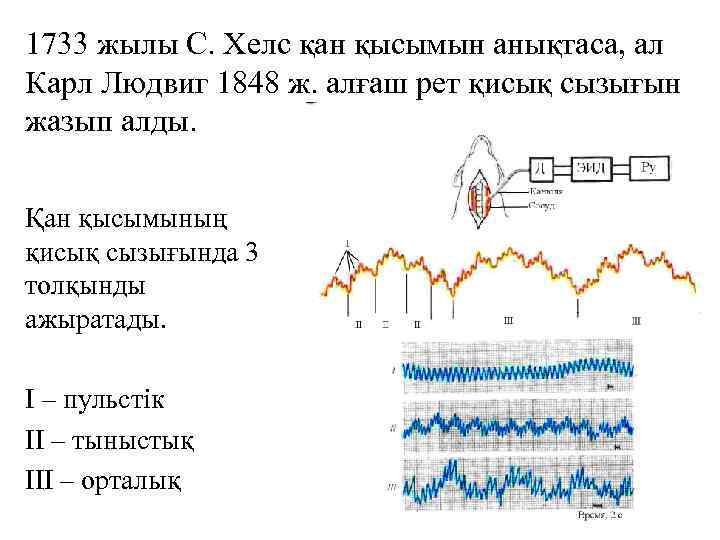 1733 жылы С. Хелс қан қысымын анықтаса, ал Карл Людвиг 1848 ж. алғаш рет