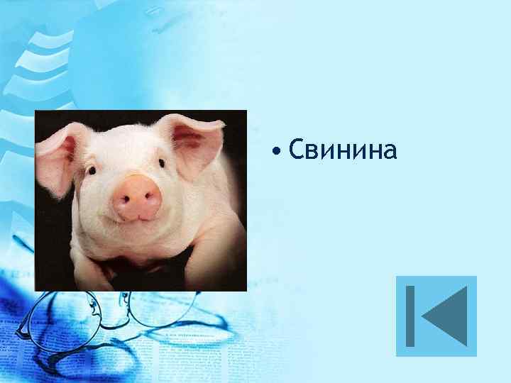  • Свинина 