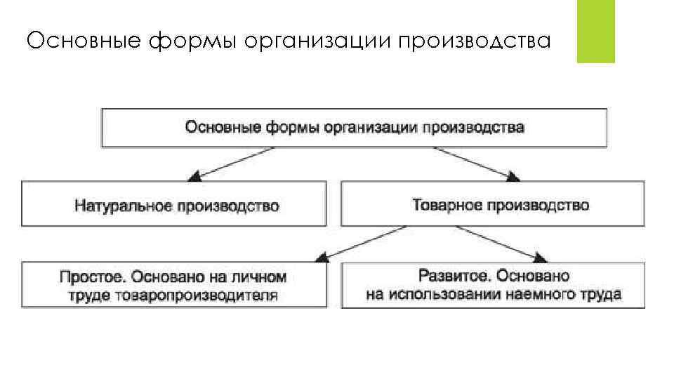 Основные формы организации производства 