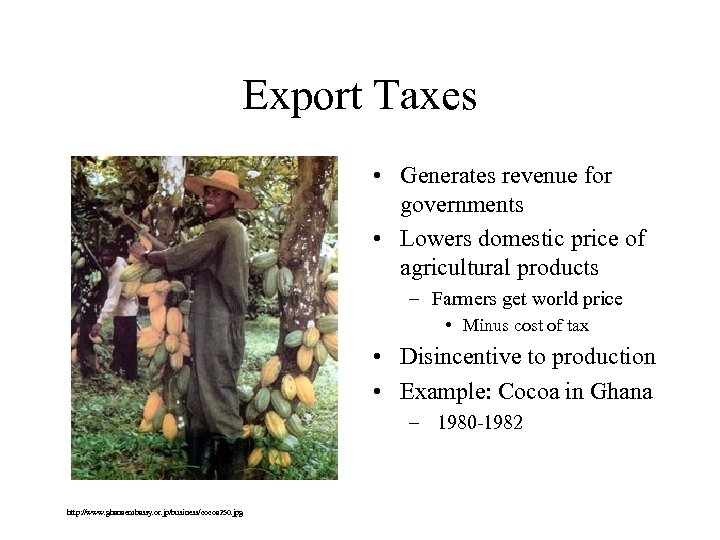 Export Taxes • Generates revenue for governments • Lowers domestic price of agricultural products