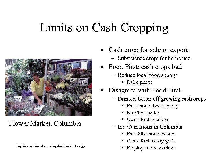 Limits on Cash Cropping • Cash crop: for sale or export – Subsistence crop: